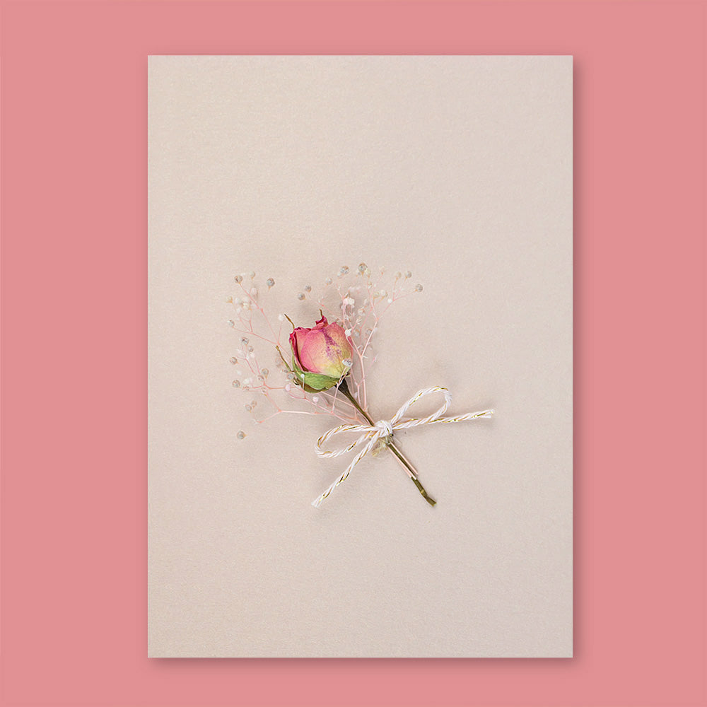 Trockenblumen Rose