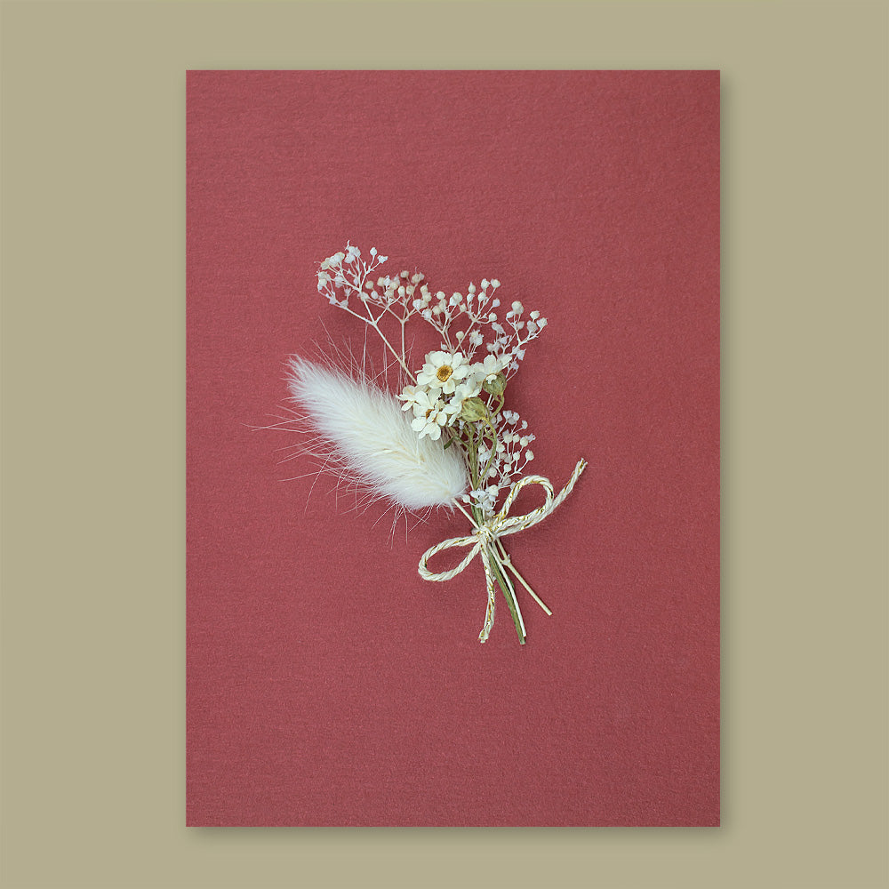 Trockenblumen Weiss
