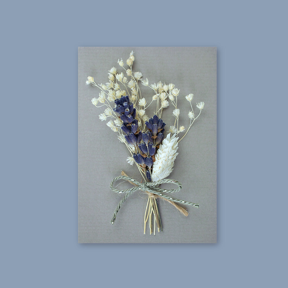 Trockenblumen Lavendel/Créme